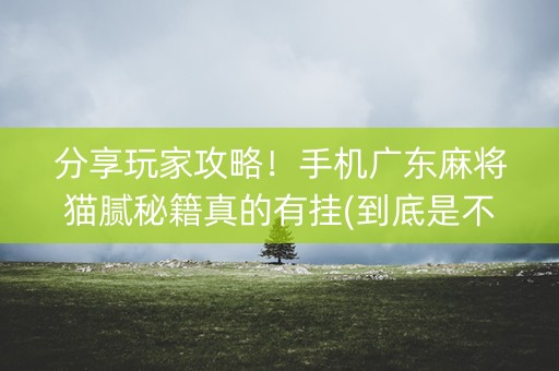 分享玩家攻略！手机广东麻将猫腻秘籍真的有挂(到底是不是有挂)