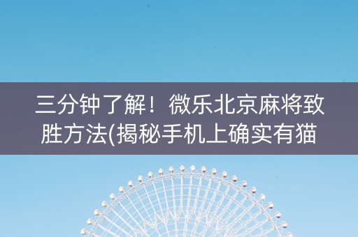 三分钟了解！微乐北京麻将致胜方法(揭秘手机上确实有猫腻)