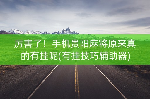厉害了！手机贵阳麻将原来真的有挂呢(有挂技巧辅助器)