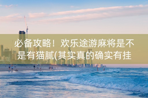 必备攻略！欢乐途游麻将是不是有猫腻(其实真的确实有挂)