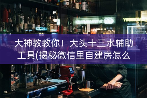 大神教教你！大头十三水辅助工具(揭秘微信里自建房怎么赢)