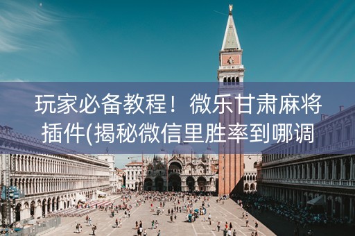 玩家必备教程！微乐甘肃麻将插件(揭秘微信里胜率到哪调)