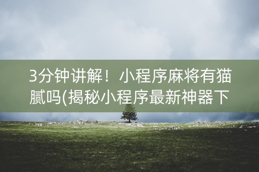 3分钟讲解！小程序麻将有猫腻吗(揭秘小程序最新神器下载)