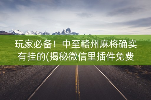 玩家必备！中至赣州麻将确实有挂的(揭秘微信里插件免费)