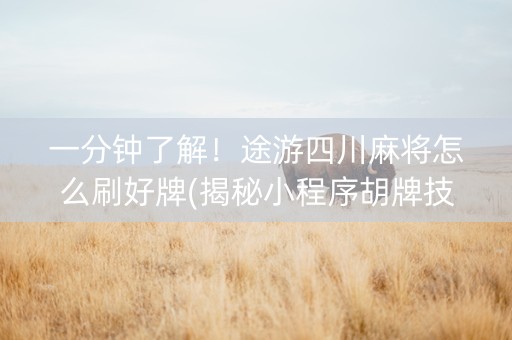 一分钟了解！途游四川麻将怎么刷好牌(揭秘小程序胡牌技巧)