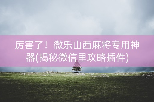 厉害了！微乐山西麻将专用神器(揭秘微信里攻略插件)