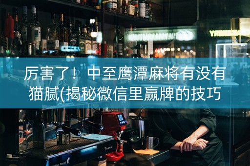 厉害了！中至鹰潭麻将有没有猫腻(揭秘微信里赢牌的技巧)
