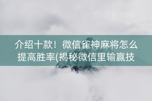 介绍十款！微信雀神麻将怎么提高胜率(揭秘微信里输赢技巧)