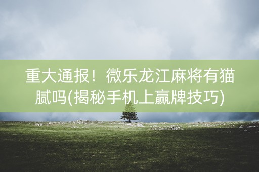 重大通报！微乐龙江麻将有猫腻吗(揭秘手机上赢牌技巧)