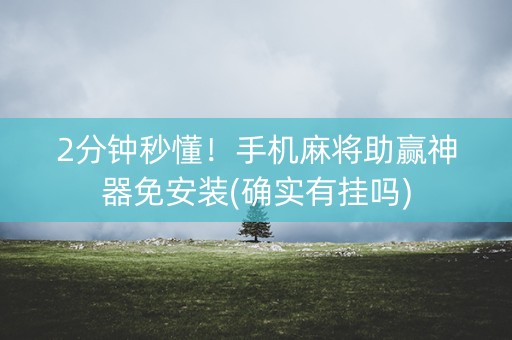 2分钟秒懂！手机麻将助赢神器免安装(确实有挂吗)