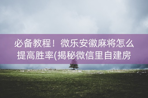 必备教程！微乐安徽麻将怎么提高胜率(揭秘微信里自建房怎么赢)
