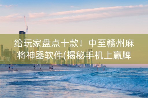 给玩家盘点十款！中至赣州麻将神器软件(揭秘手机上赢牌技巧)