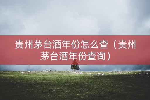贵州茅台酒年份怎么查（贵州茅台酒年份查询）