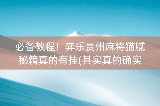 必备教程！弈乐贵州麻将猫腻秘籍真的有挂(其实真的确实有挂)