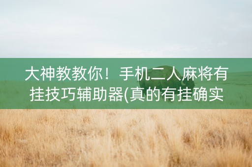 大神教教你！手机二人麻将有挂技巧辅助器(真的有挂确实有挂)