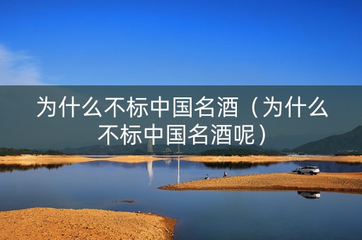 为什么不标中国名酒（为什么不标中国名酒呢）