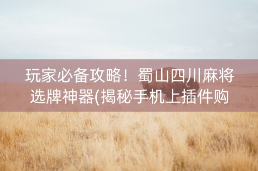 玩家必备攻略！蜀山四川麻将选牌神器(揭秘手机上插件购买)