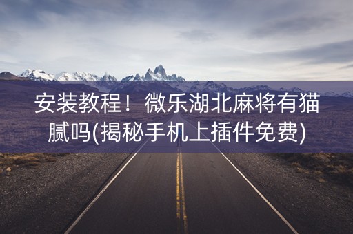 安装教程！微乐湖北麻将有猫腻吗(揭秘手机上插件免费)