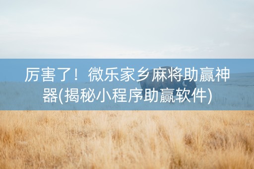 厉害了！微乐家乡麻将助赢神器(揭秘小程序助赢软件)