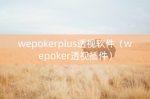 wepokerplus透视软件（wepoker透视插件）