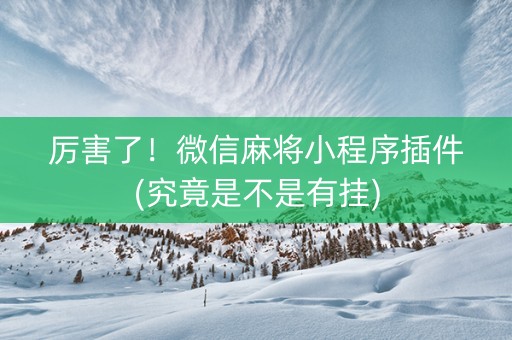 厉害了！微信麻将小程序插件(究竟是不是有挂)