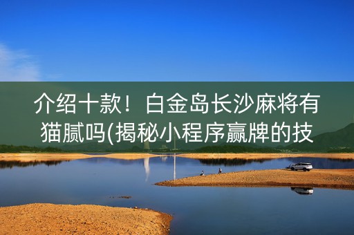 介绍十款！白金岛长沙麻将有猫腻吗(揭秘小程序赢牌的技巧)
