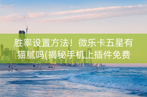 胜率设置方法！微乐卡五星有猫腻吗(揭秘手机上插件免费)