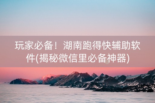 玩家必备！湖南跑得快辅助软件(揭秘微信里必备神器)