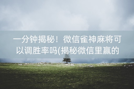 一分钟揭秘！微信雀神麻将可以调胜率吗(揭秘微信里赢的诀窍)