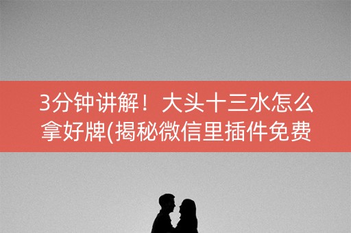 3分钟讲解！大头十三水怎么拿好牌(揭秘微信里插件免费)