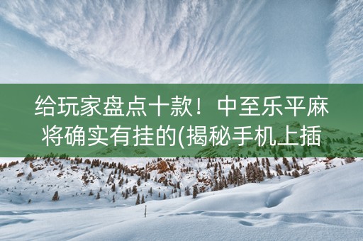 给玩家盘点十款！中至乐平麻将确实有挂的(揭秘手机上插件免费)