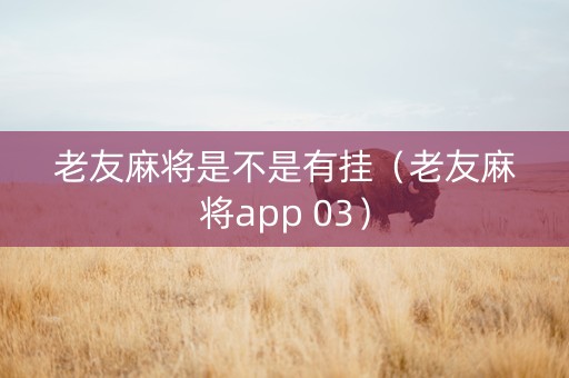 老友麻将是不是有挂（老友麻将app 03）