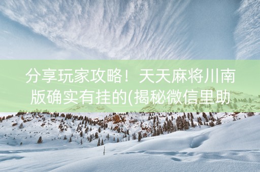 分享玩家攻略！天天麻将川南版确实有挂的(揭秘微信里助攻神器)