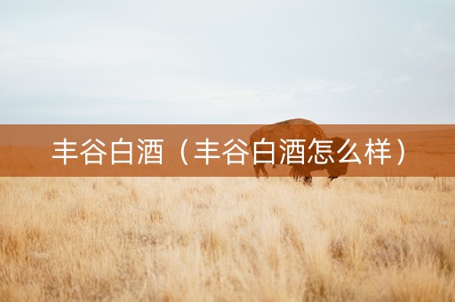 丰谷白酒（丰谷白酒怎么样）
