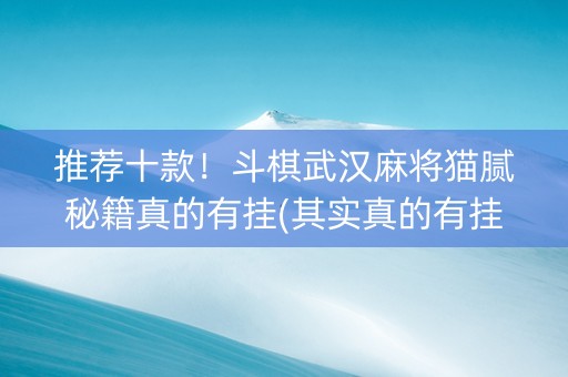 推荐十款！斗棋武汉麻将猫腻秘籍真的有挂(其实真的有挂)
