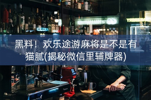 黑料！欢乐途游麻将是不是有猫腻(揭秘微信里辅牌器)
