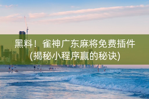 黑料！雀神广东麻将免费插件(揭秘小程序赢的秘诀)