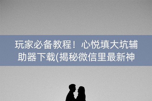 玩家必备教程！心悦填大坑辅助器下载(揭秘微信里最新神器下载)