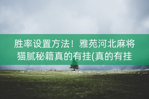 胜率设置方法！雅苑河北麻将猫腻秘籍真的有挂(真的有挂)