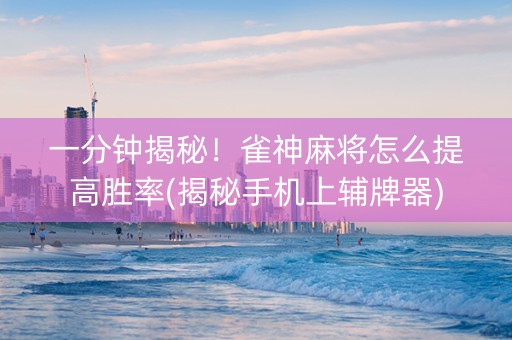 一分钟揭秘！雀神麻将怎么提高胜率(揭秘手机上辅牌器)