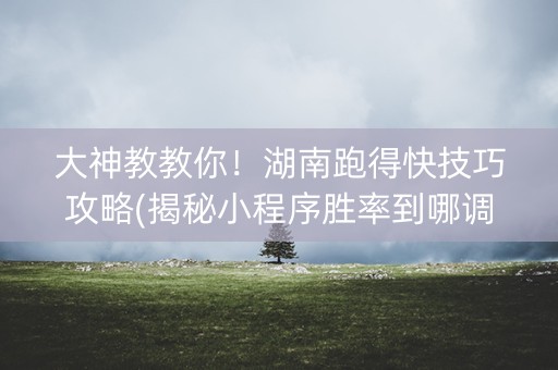 大神教教你！湖南跑得快技巧攻略(揭秘小程序胜率到哪调)