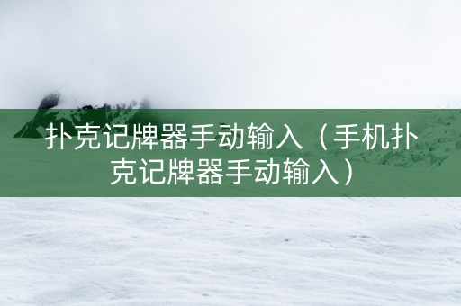 扑克记牌器手动输入（手机扑克记牌器手动输入）