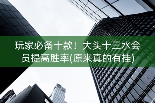 玩家必备十款！大头十三水会员提高胜率(原来真的有挂)