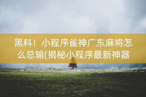 黑料！小程序雀神广东麻将怎么总输(揭秘小程序最新神器下载)