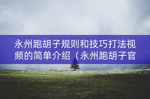 永州跑胡子规则和技巧打法视频的简单介绍（永州跑胡子官方下载）