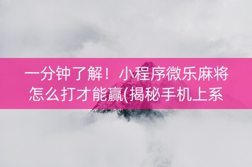 一分钟了解！小程序微乐麻将怎么打才能赢(揭秘手机上系统发好牌)