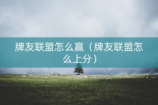 牌友联盟怎么赢（牌友联盟怎么上分）