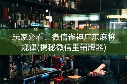 玩家必看！微信雀神广东麻将规律(揭秘微信里辅牌器)