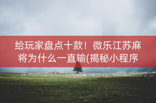 给玩家盘点十款！微乐江苏麻将为什么一直输(揭秘小程序赢的秘诀)