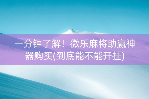 一分钟了解！微乐麻将助赢神器购买(到底能不能开挂)